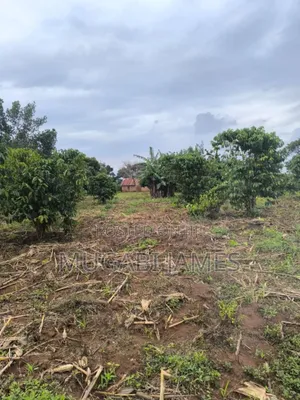 Farmland for Sale in Kakooga