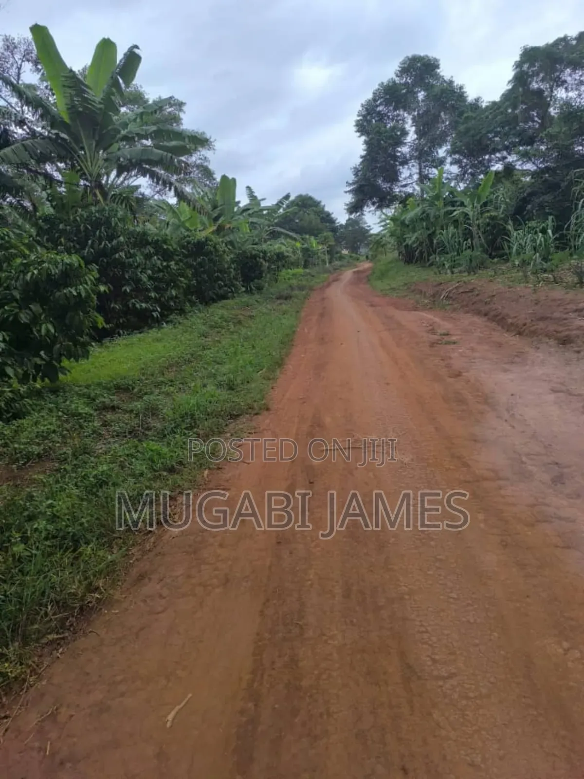 Farmland for Sale in Kakooga