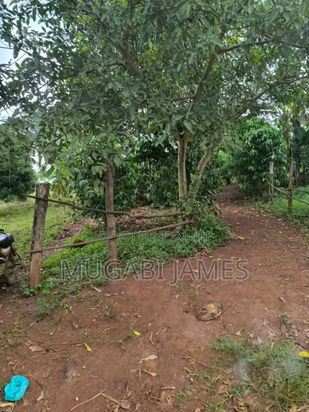 Farmland for Sale in Kakooga