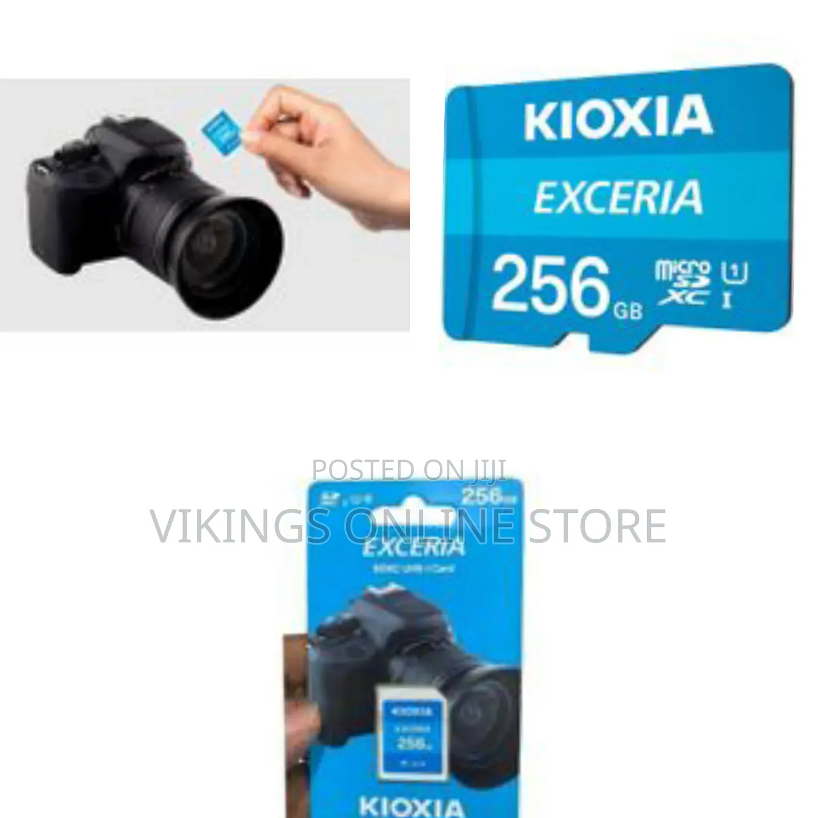 Kioxia Exceria Sd Microsd Memory Card 256gb 100mb/S Full Hd Recording