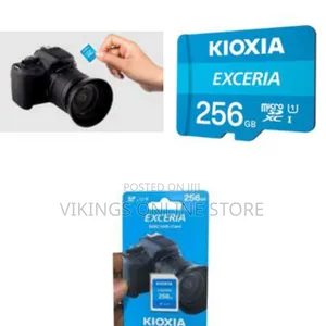 Kioxia Exceria Sd Microsd Memory Card 256gb 100mb/S Full Hd Recording
