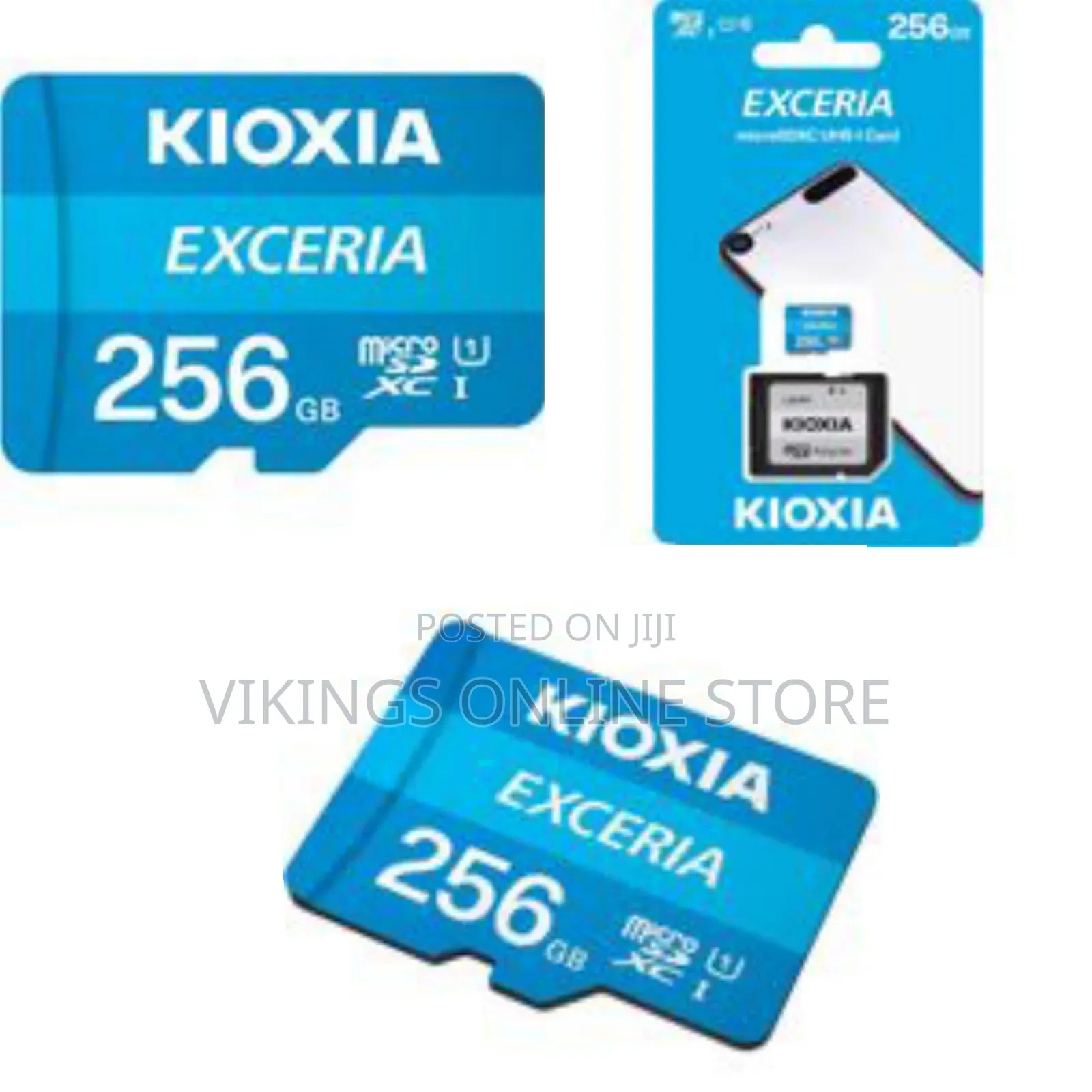 Kioxia Exceria Sd Microsd Memory Card 256gb 100mb/S Full Hd Recording