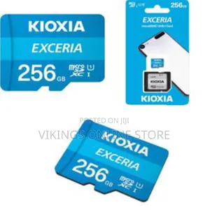 Kioxia Exceria Sd Microsd Memory Card 256gb 100mb/S Full Hd Recording