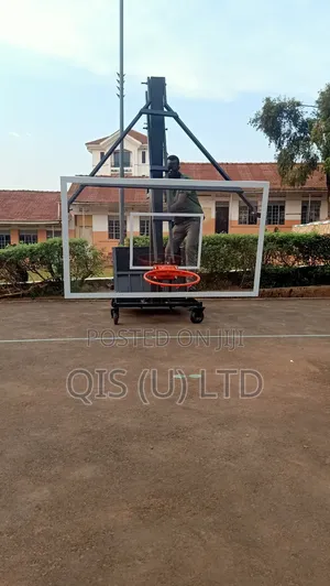 Basket Ball Hoop Movable - Standard