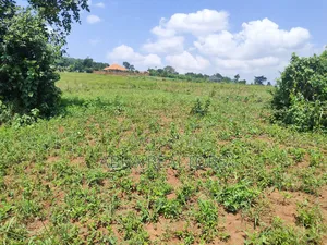 Gayaza-Kiwenda 100*100ft Plot