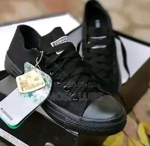 New Canvas Shoes for Ladys