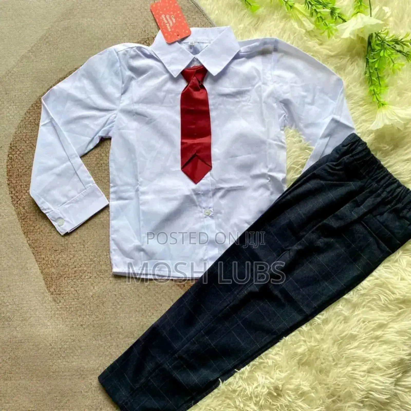 Plain Tuxedo Shirts in White With Bowties