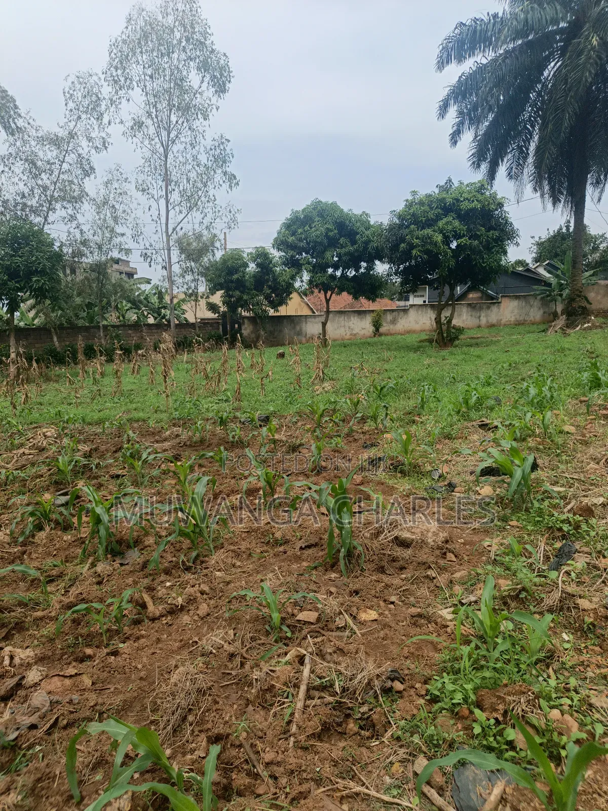 Plot on Sale in Kyanja Ring Road