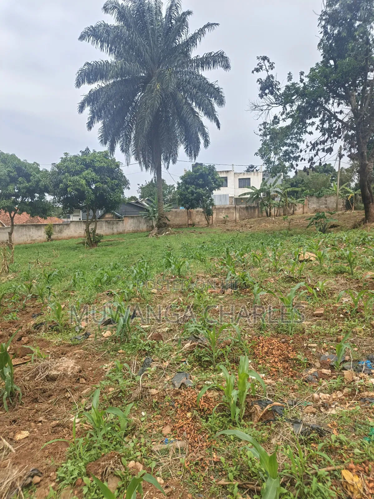 Plot on Sale in Kyanja Ring Road