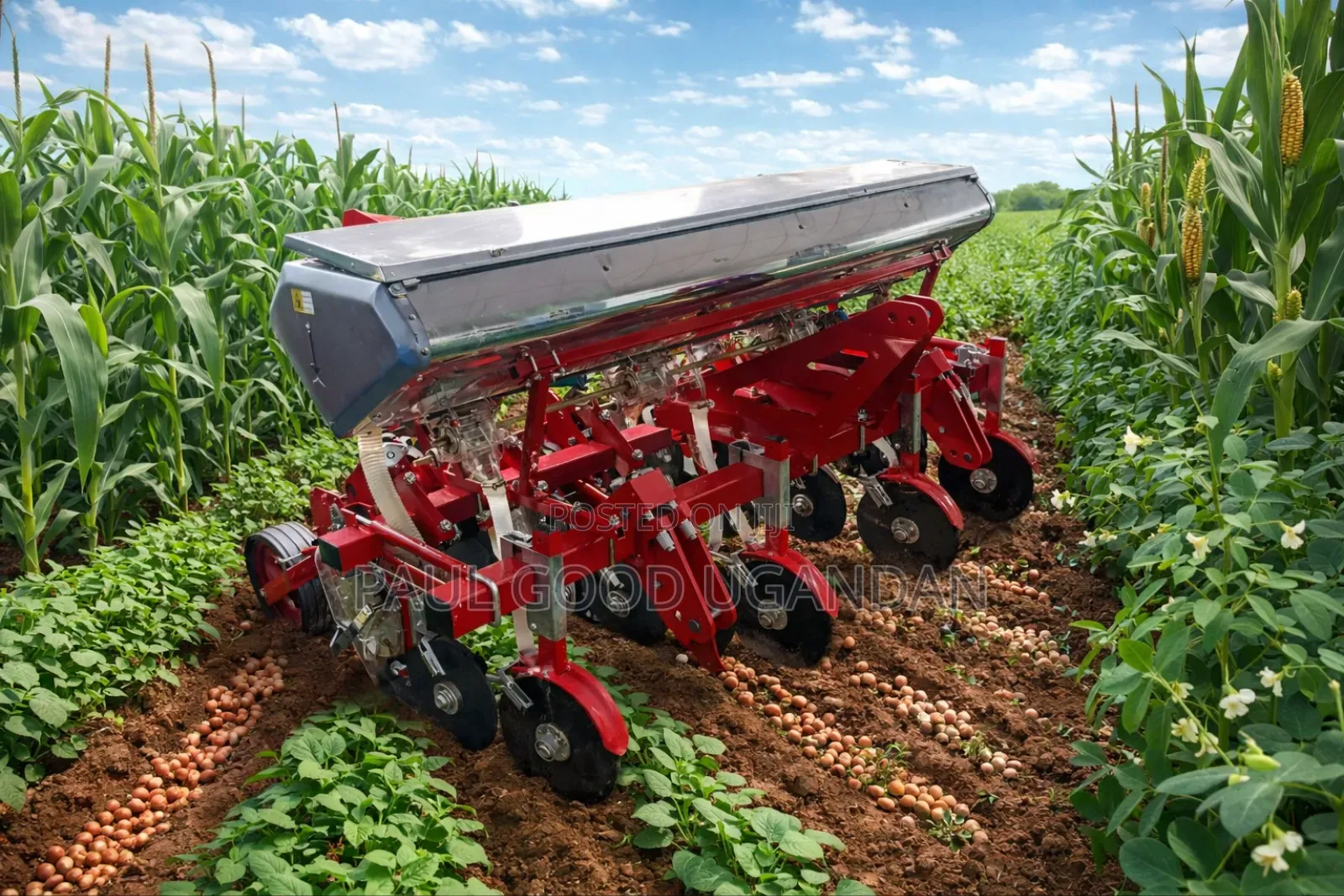 Seed Planter Machine 2 (4lines)