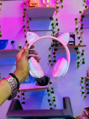 Cat Ear Headphones for Adults