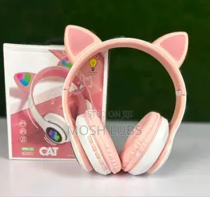 Dance to Ghe Beat Cat Ear Headphones