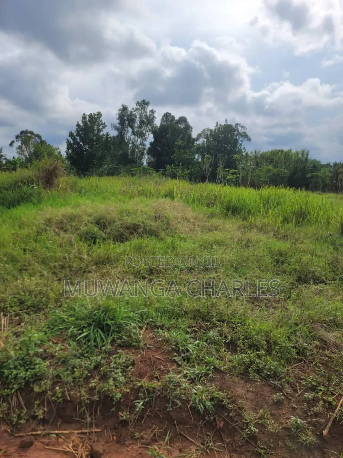 Plots on Sale in Matugga Kilolo
