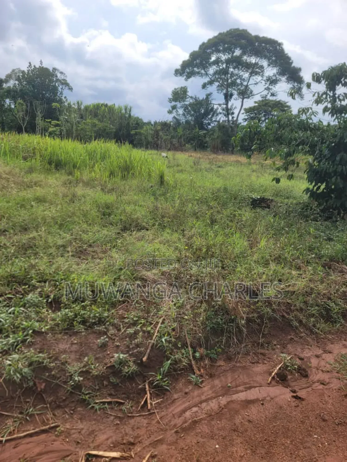 Plots on Sale in Matugga Kilolo