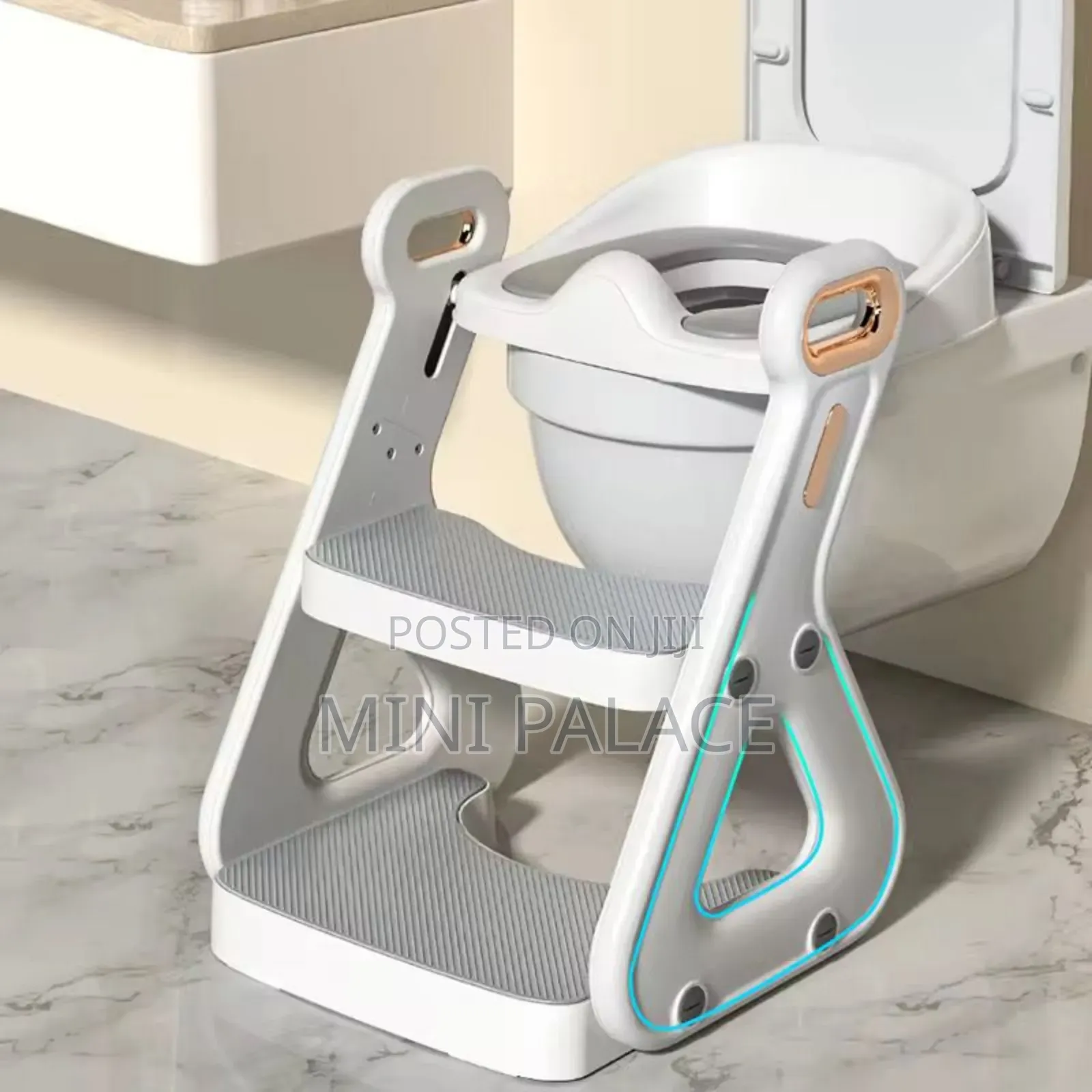 Unique Kids Toilet Ladder