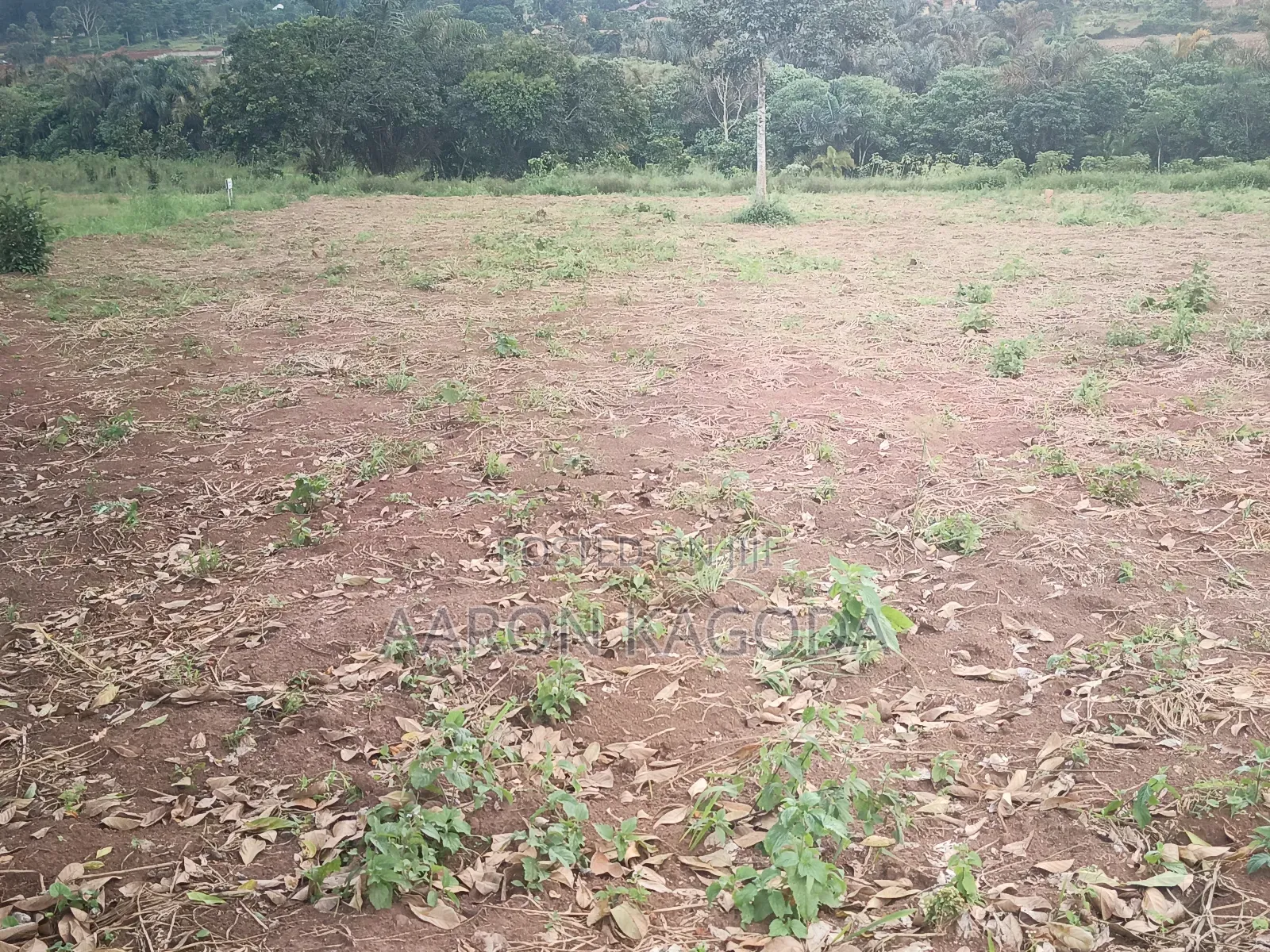 100*100 Plots for Sale in Nanziga Green Homes Estate