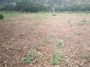 100*100 Plots for Sale in Nanziga Green Homes Estate
