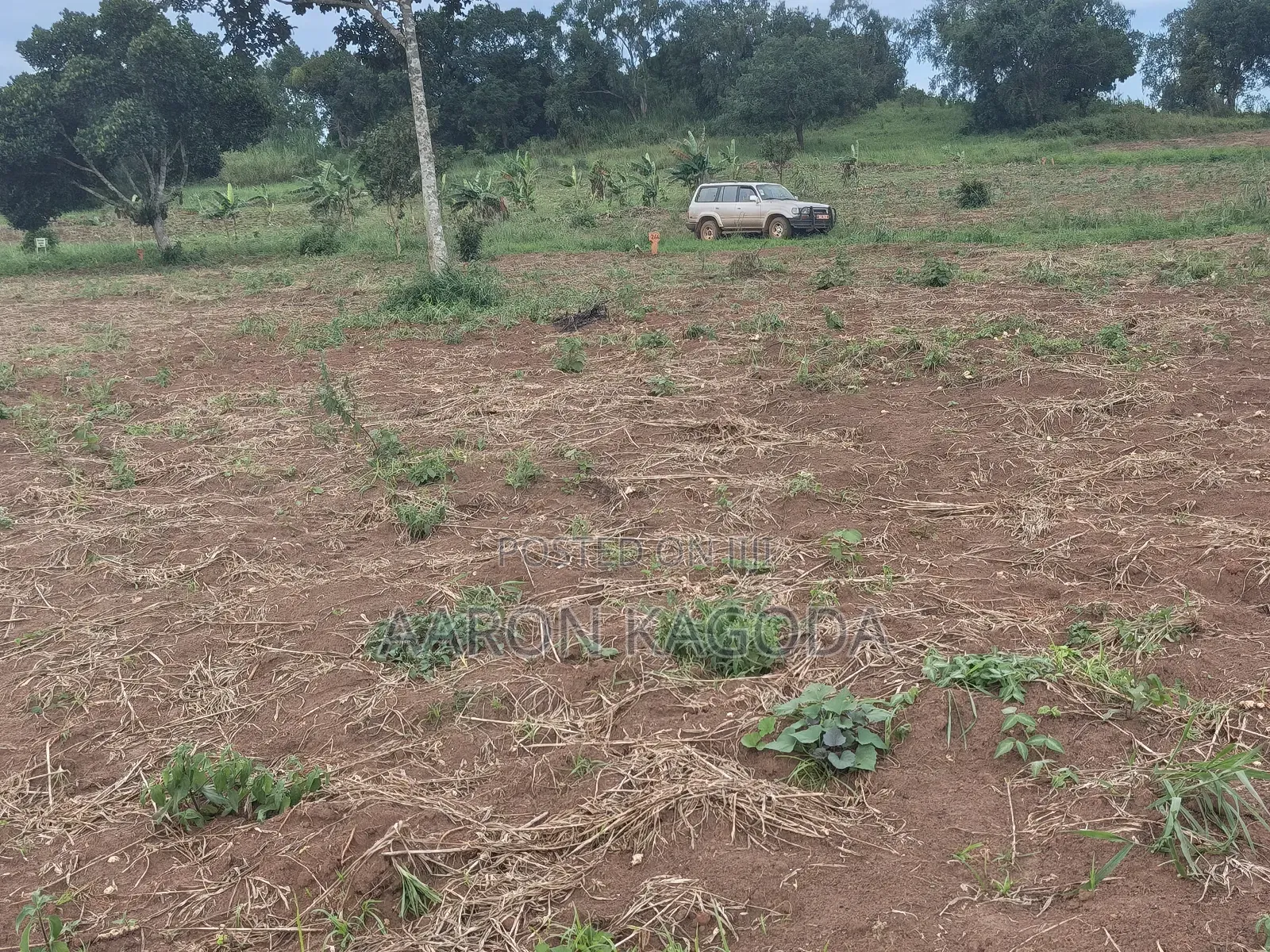 100*100 Plots for Sale in Nanziga Green Homes Estate