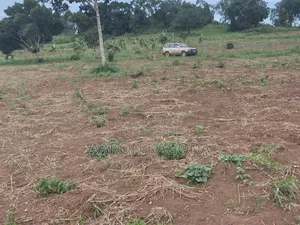 100*100 Plots for Sale in Nanziga Green Homes Estate