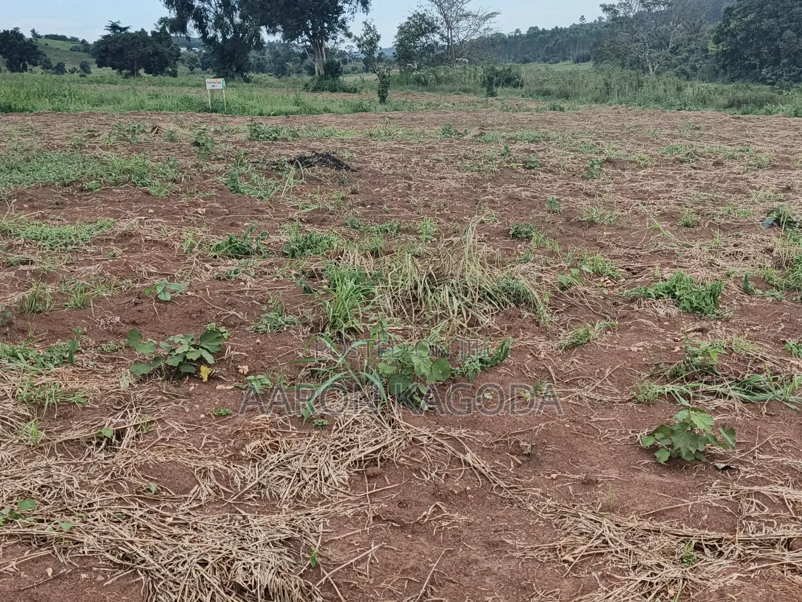 100*100 Plots for Sale in Nanziga Green Homes Estate