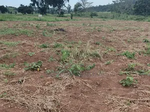 100*100 Plots for Sale in Nanziga Green Homes Estate