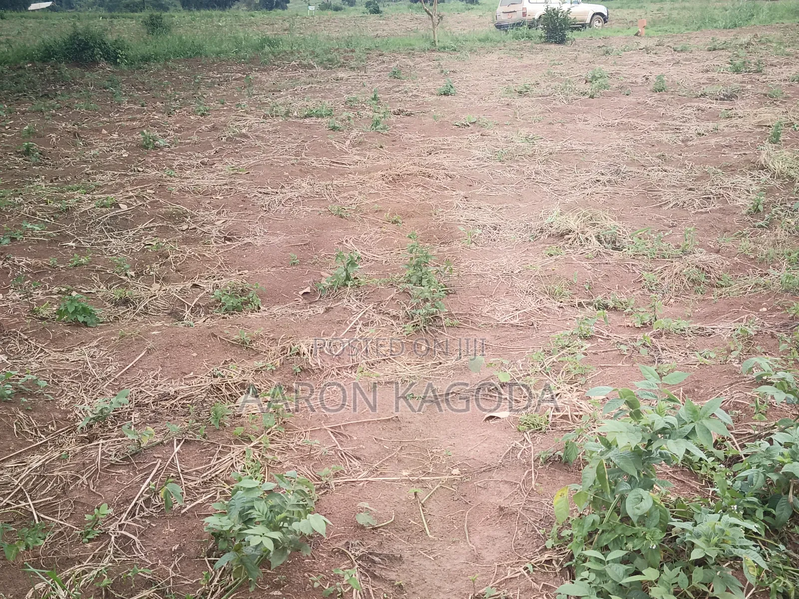 100*100 Plots for Sale in Nanziga Green Homes Estate