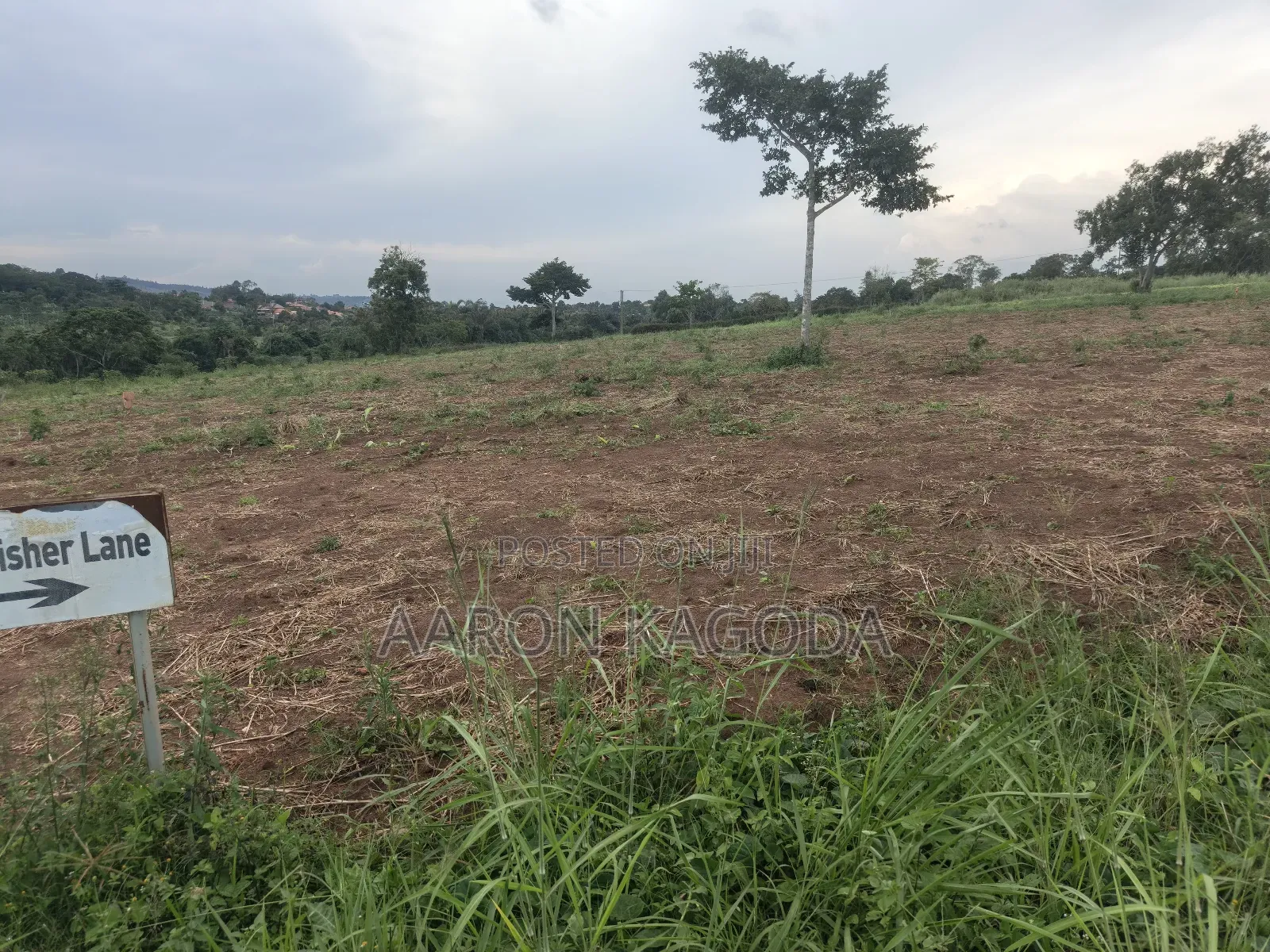 100*100 Plots for Sale in Nanziga Green Homes Estate