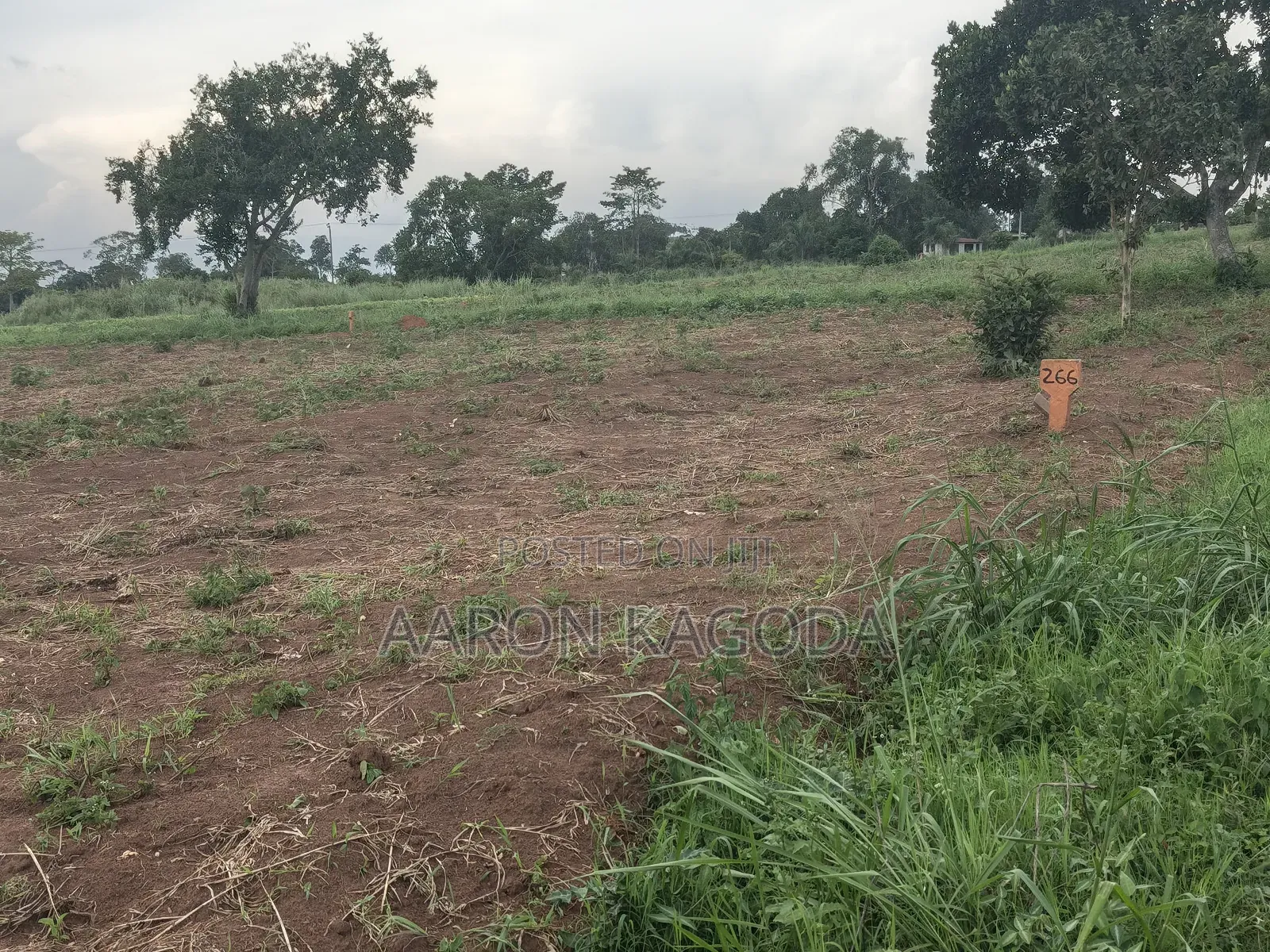 100*100 Plots for Sale in Nanziga Green Homes Estate