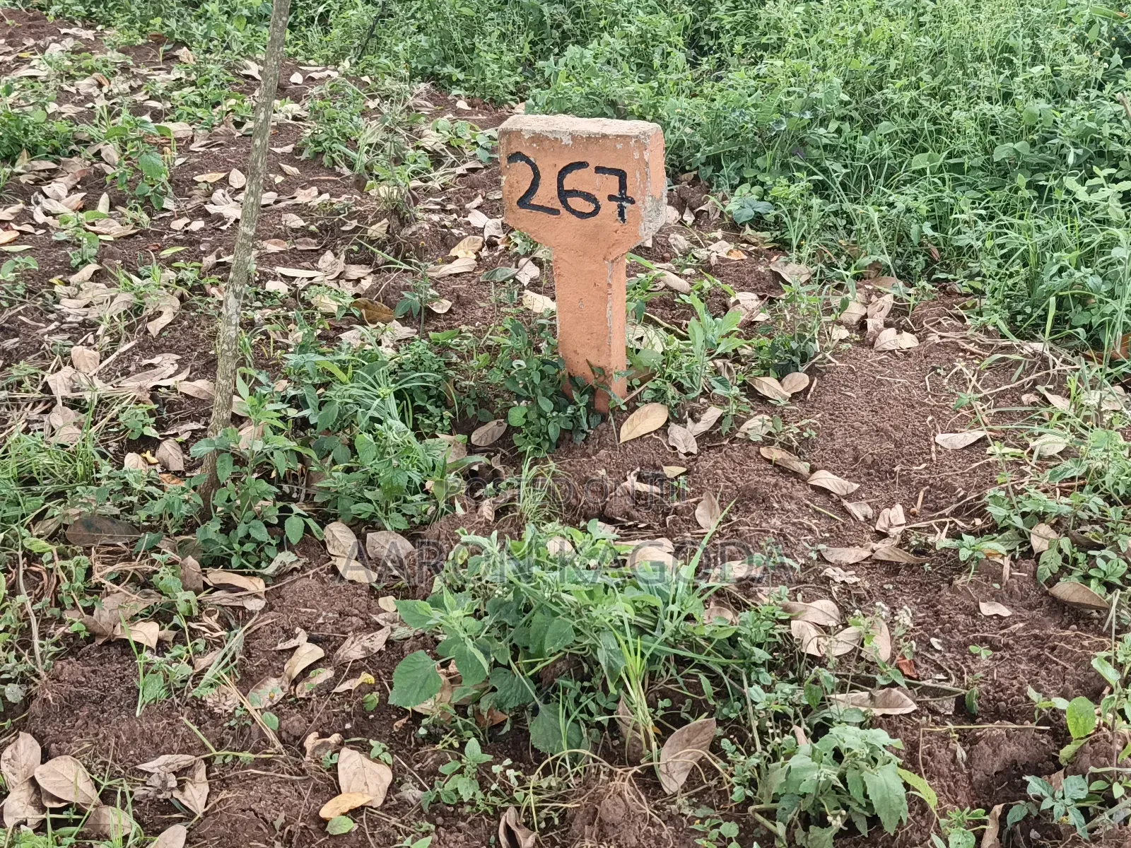 100*100 Plots for Sale in Nanziga Green Homes Estate