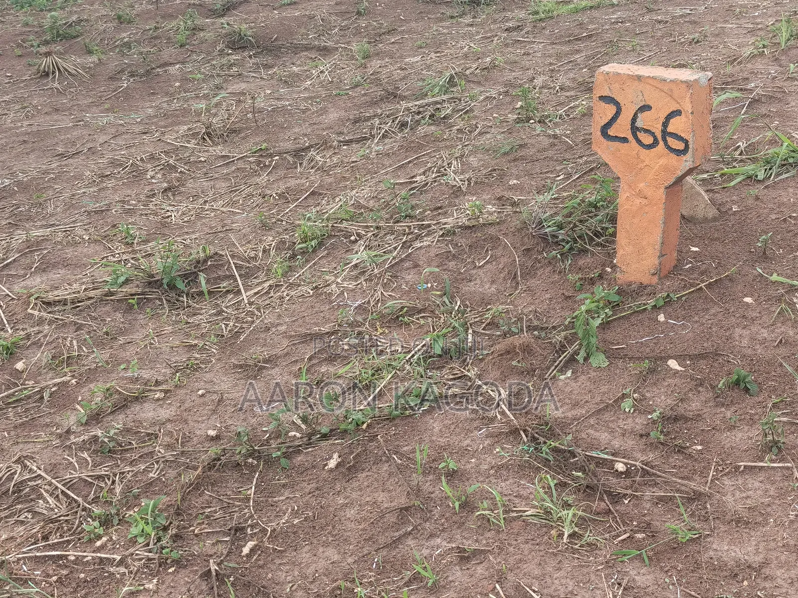 100*100 Plots for Sale in Nanziga Green Homes Estate
