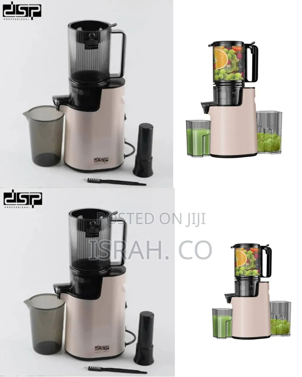 DSP Efficient Slow Masticating Juicer for Maximum Juice Yield