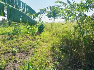 5acres of Land on Sale in Kanyanda Semuto