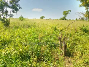 5acres of Land on Sale in Kanyanda Semuto