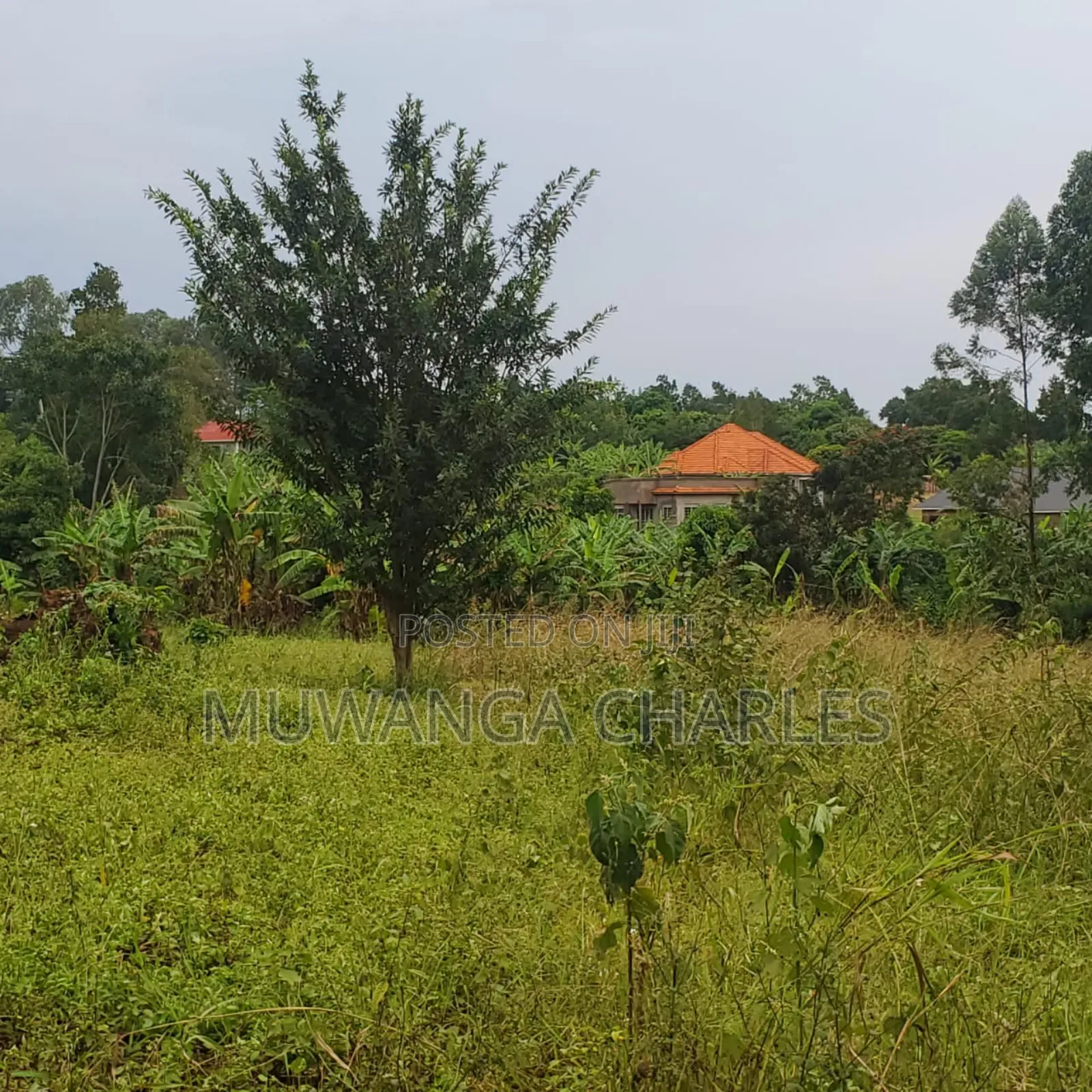 Plot on Sale in Gayaza Makenke