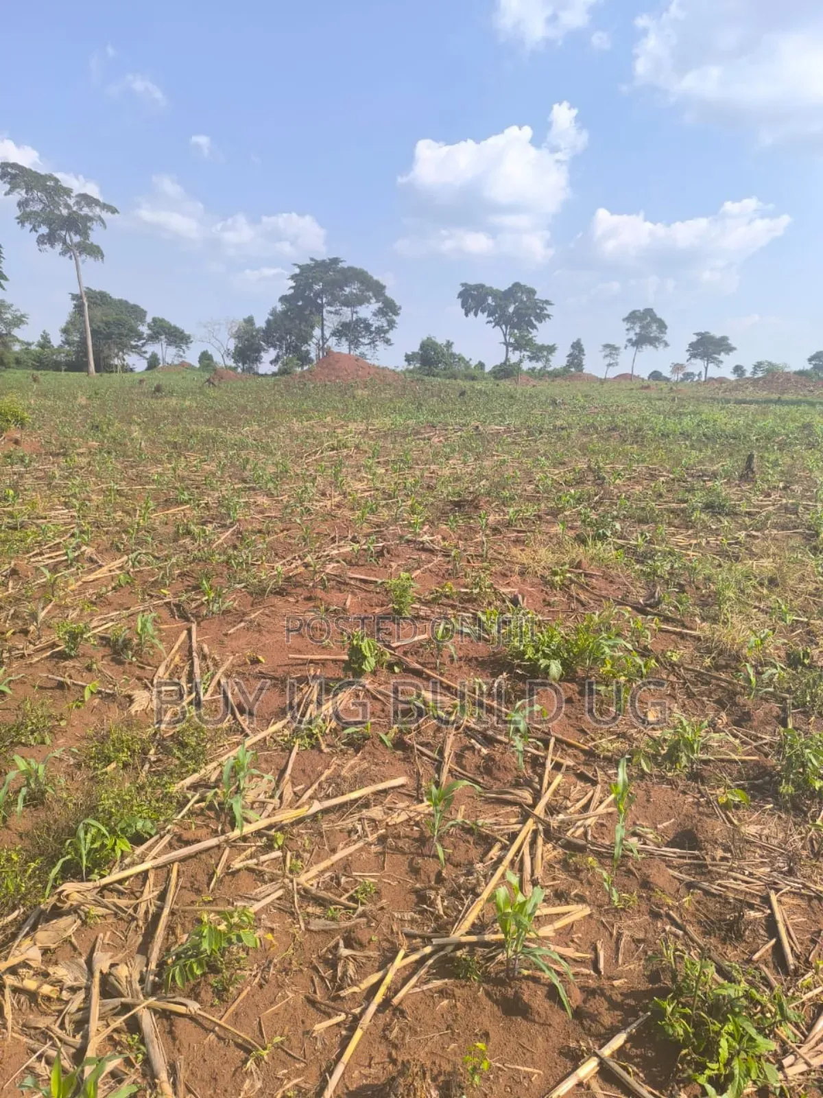 Farmland of #10_acres of Land Fo in #Luwero_kakooge Selling (14m