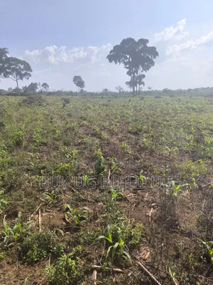 Farmland of #10_acres of Land Fo in #Luwero_kakooge Selling (14m