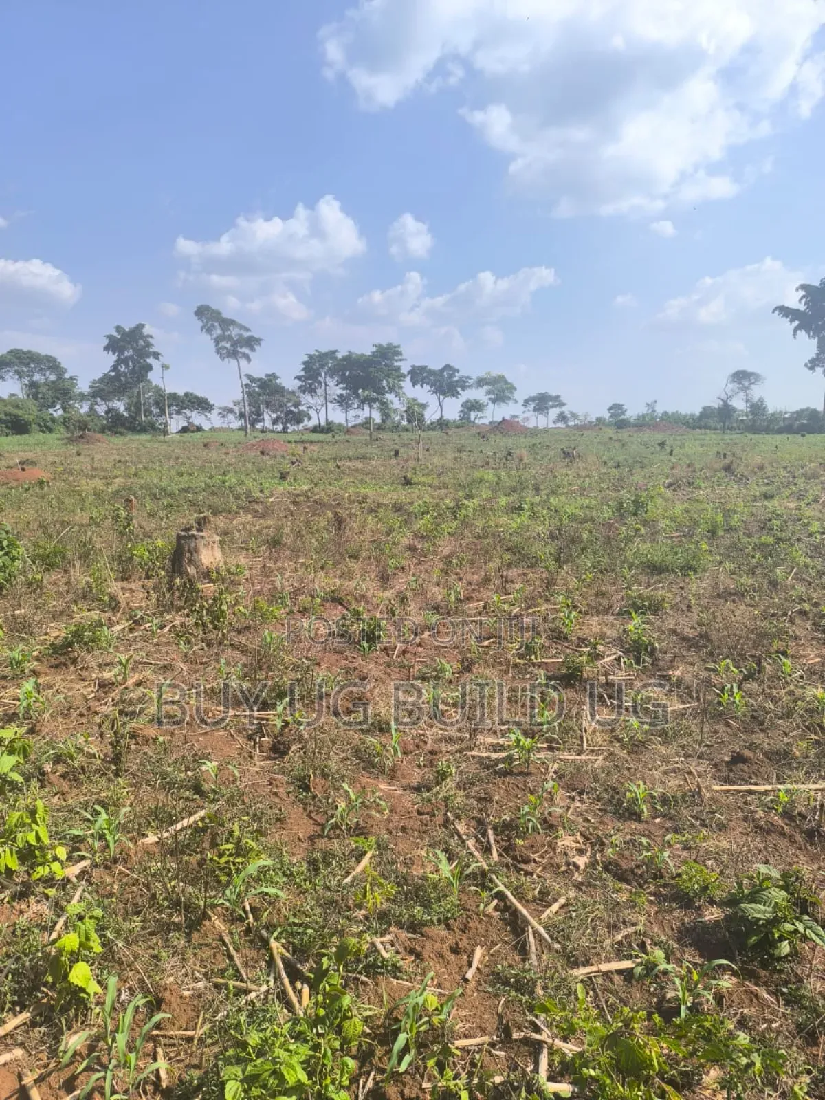 Farmland of #10_acres of Land Fo in #Luwero_kakooge Selling (14m
