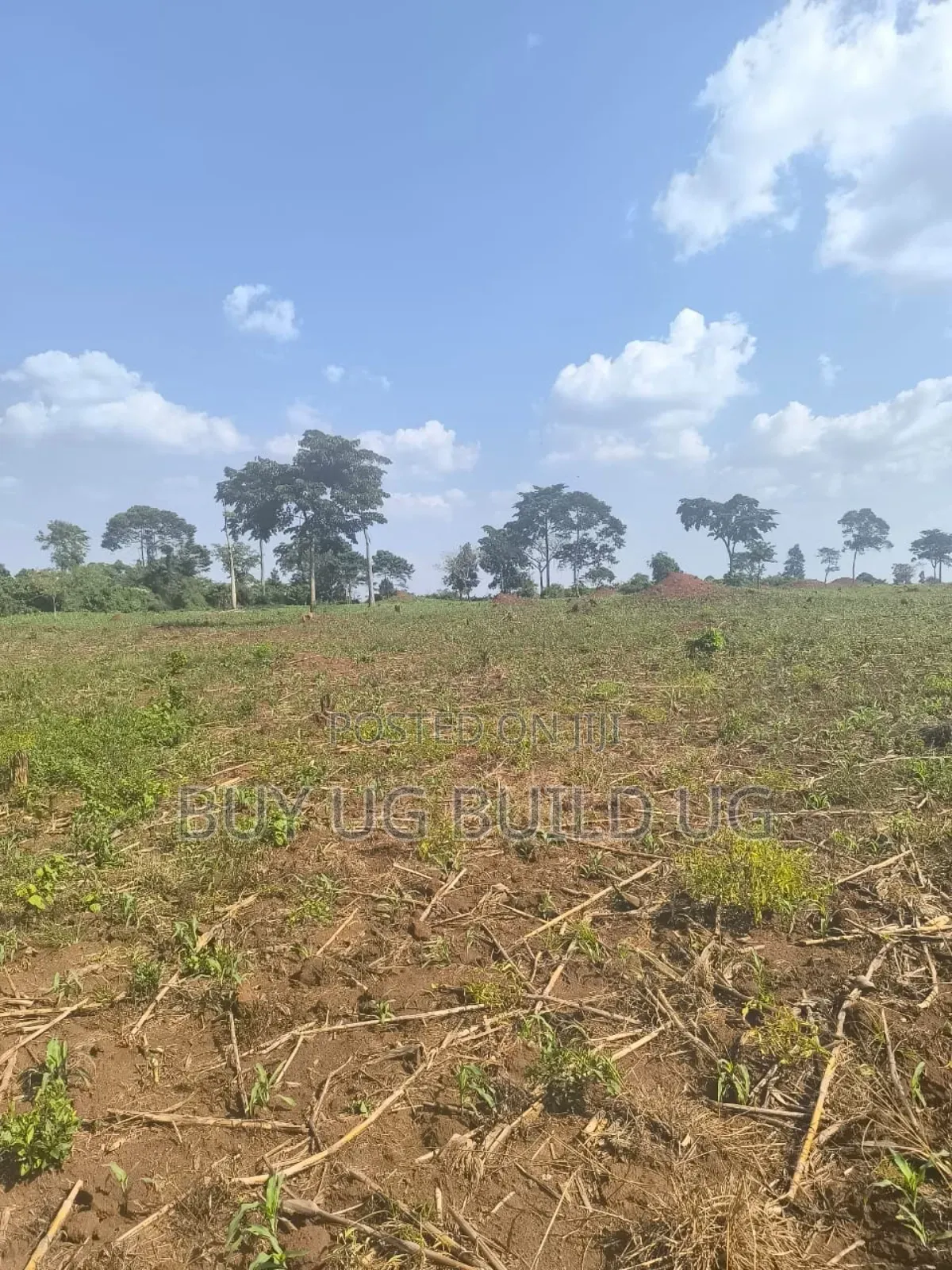 Farmland of #10_acres of Land Fo in #Luwero_kakooge Selling (14m
