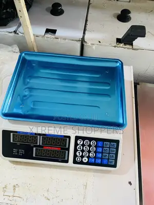 Perfect Measures / Digital Weighing Scale
