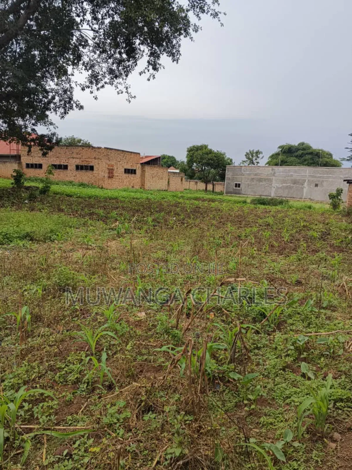 Plots on Sale in Matugga Buwambo