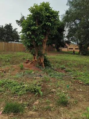 Plots on Sale in Matugga Buwambo