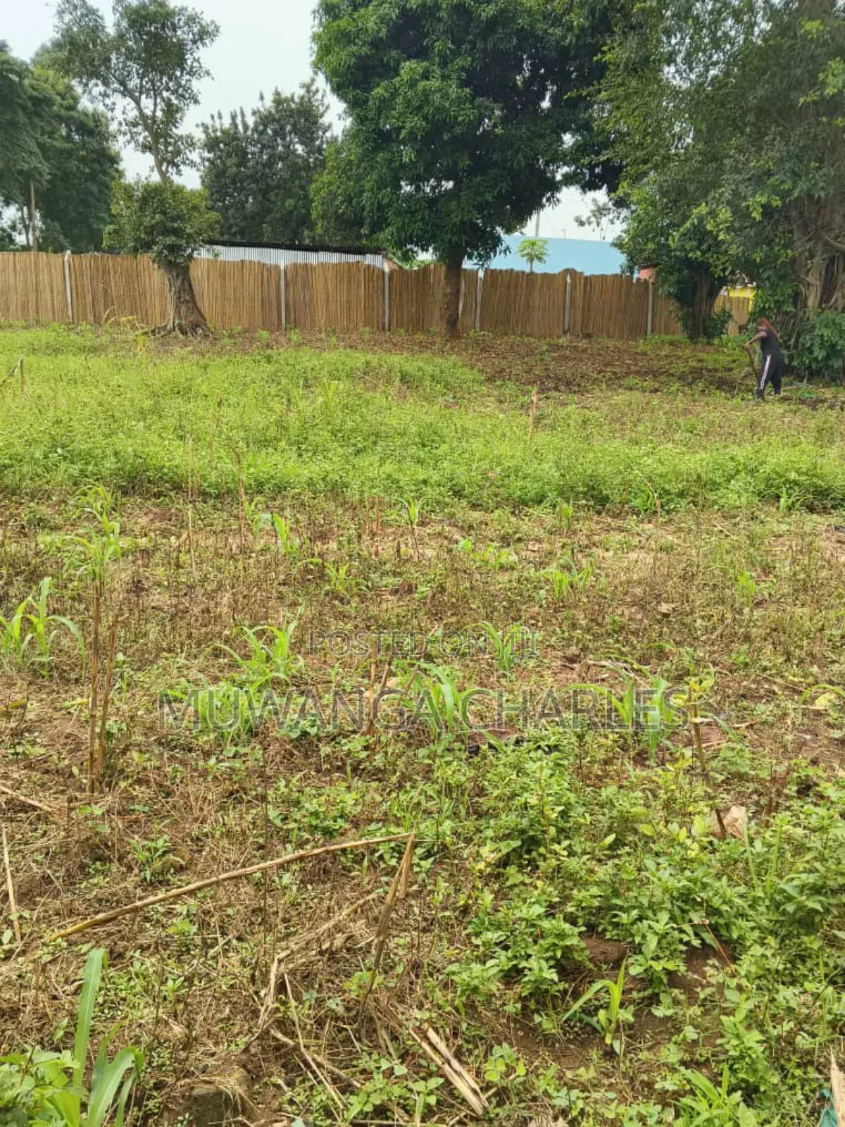 Plots on Sale in Matugga Buwambo