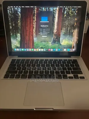 Laptop Apple MacBook 2012 8GB Intel Core i5 HDD 500GB