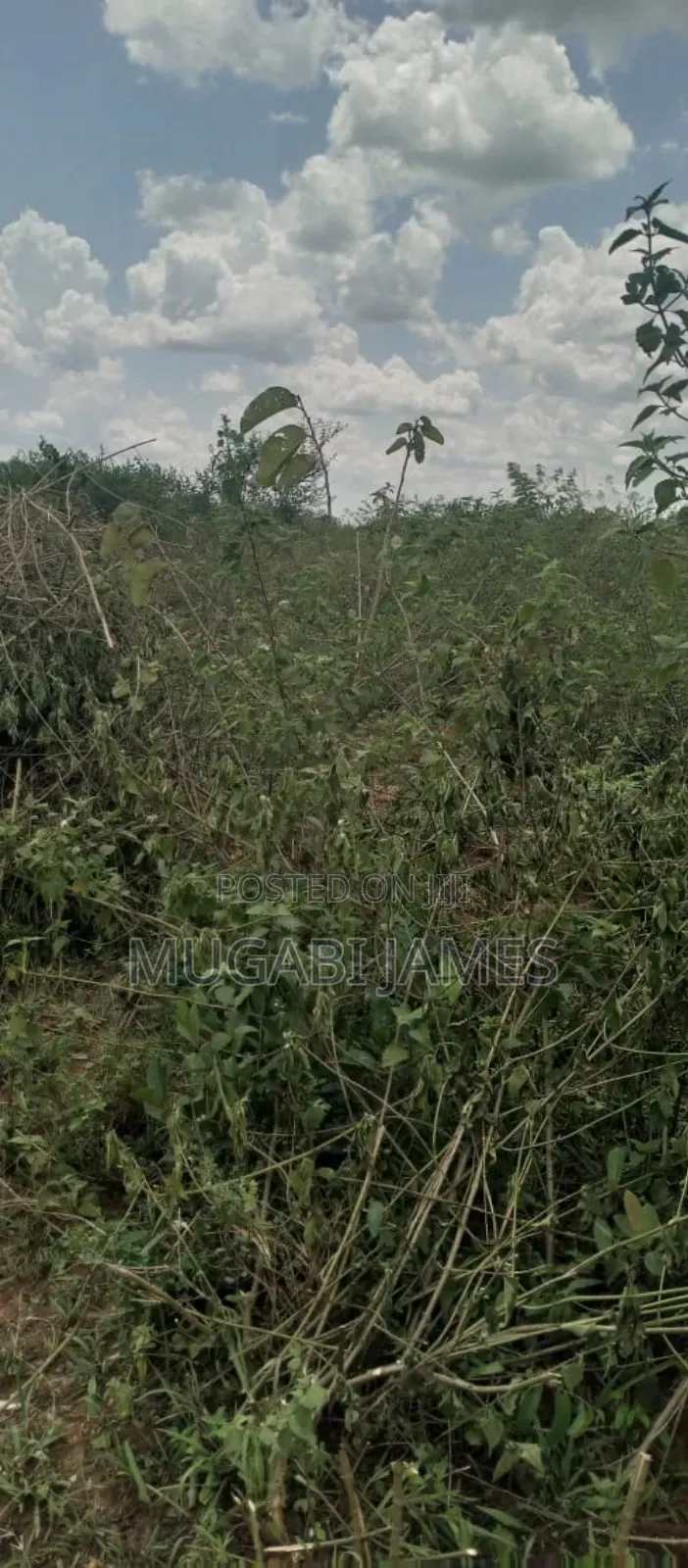 Farmland for Sale in Nakasongola