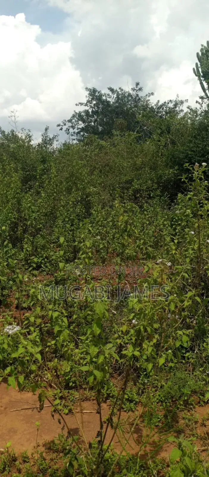 Farmland for Sale in Nakasongola