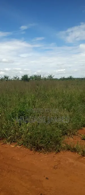 Farmland for Sale in Nakasongola