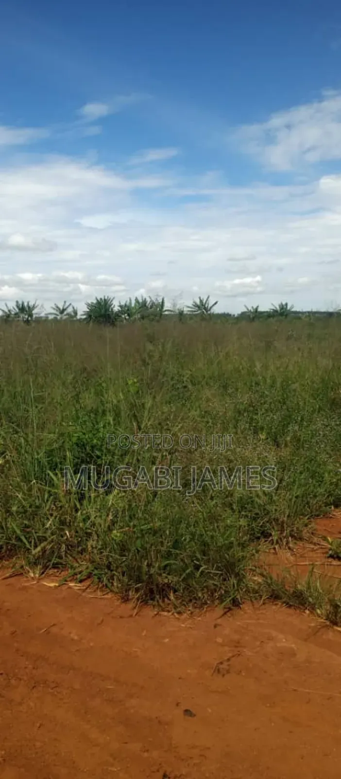 Farmland for Sale in Nakasongola