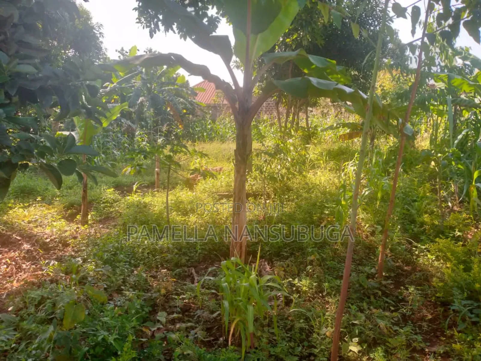 Land At Kyabilwa 0.11 Acres