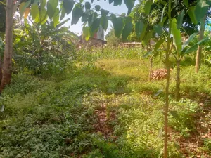 Land At Kyabilwa 0.11 Acres