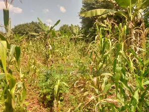 Land At Kyabilwa 0.11 Acres